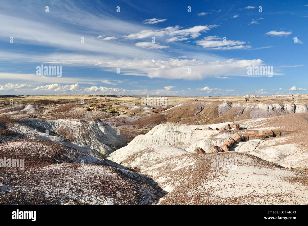 Colorful Petrified Wood at The Crystal Forest in Petrified forest National Park, USA Stock Photo