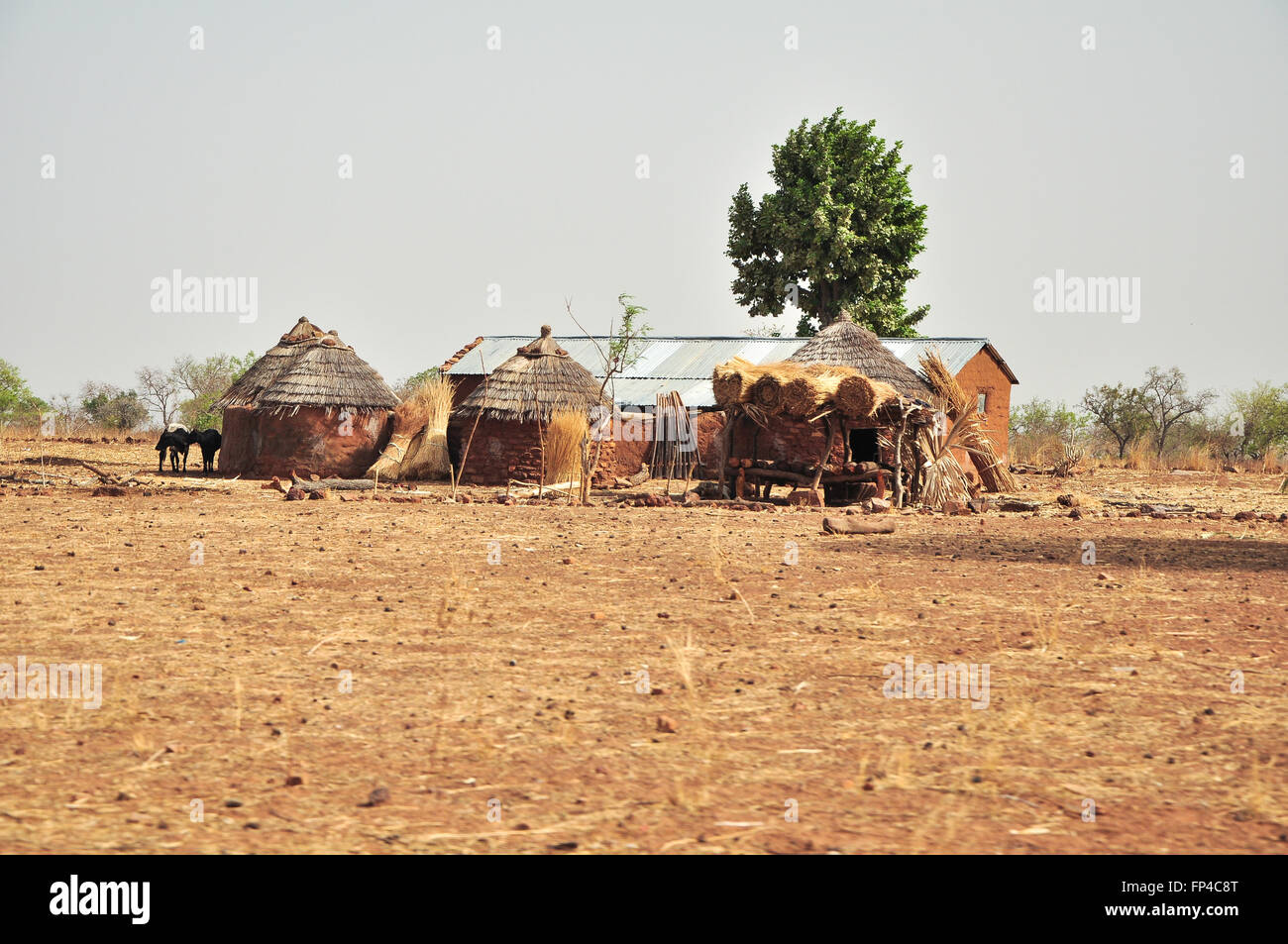 Round brick huts near Grottes de Nok in Togo in rural Western Africa Stock Photo