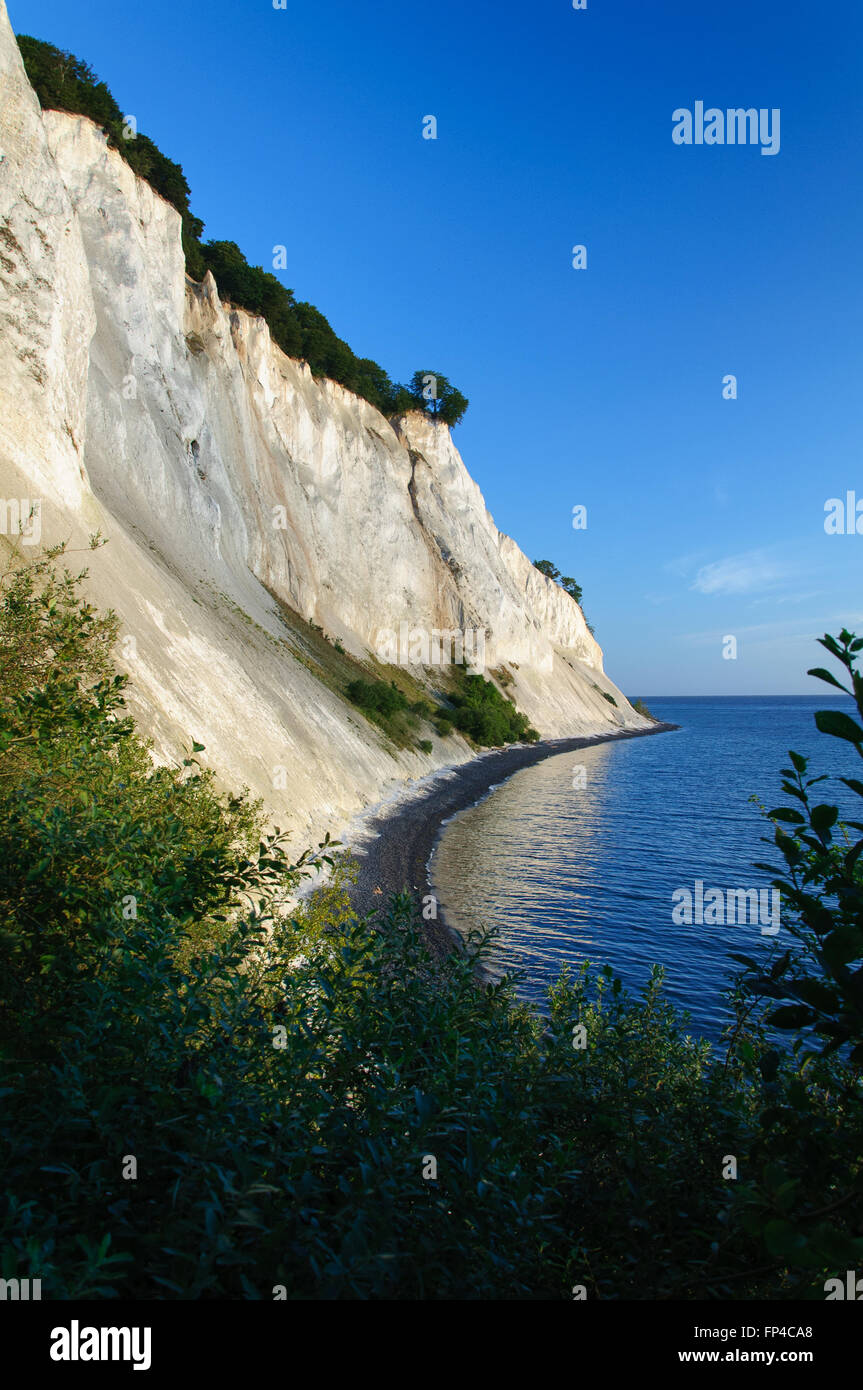 The cliffs of Moen at Sunrise in Denmark Stock Photo