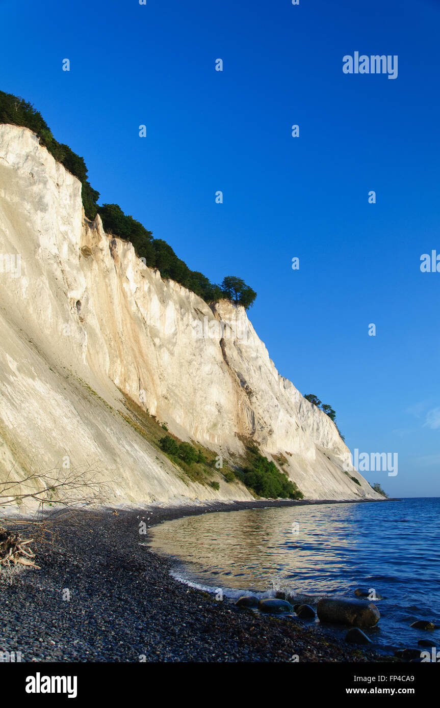 The cliffs of Moen at Sunrise in Denmark Stock Photo