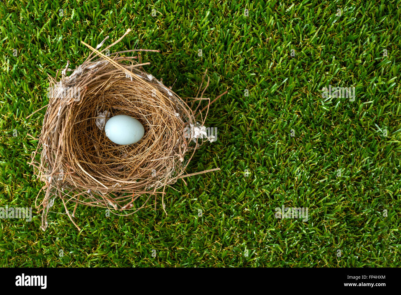 bird nest with egg on grass field Stock Photo Alamy
