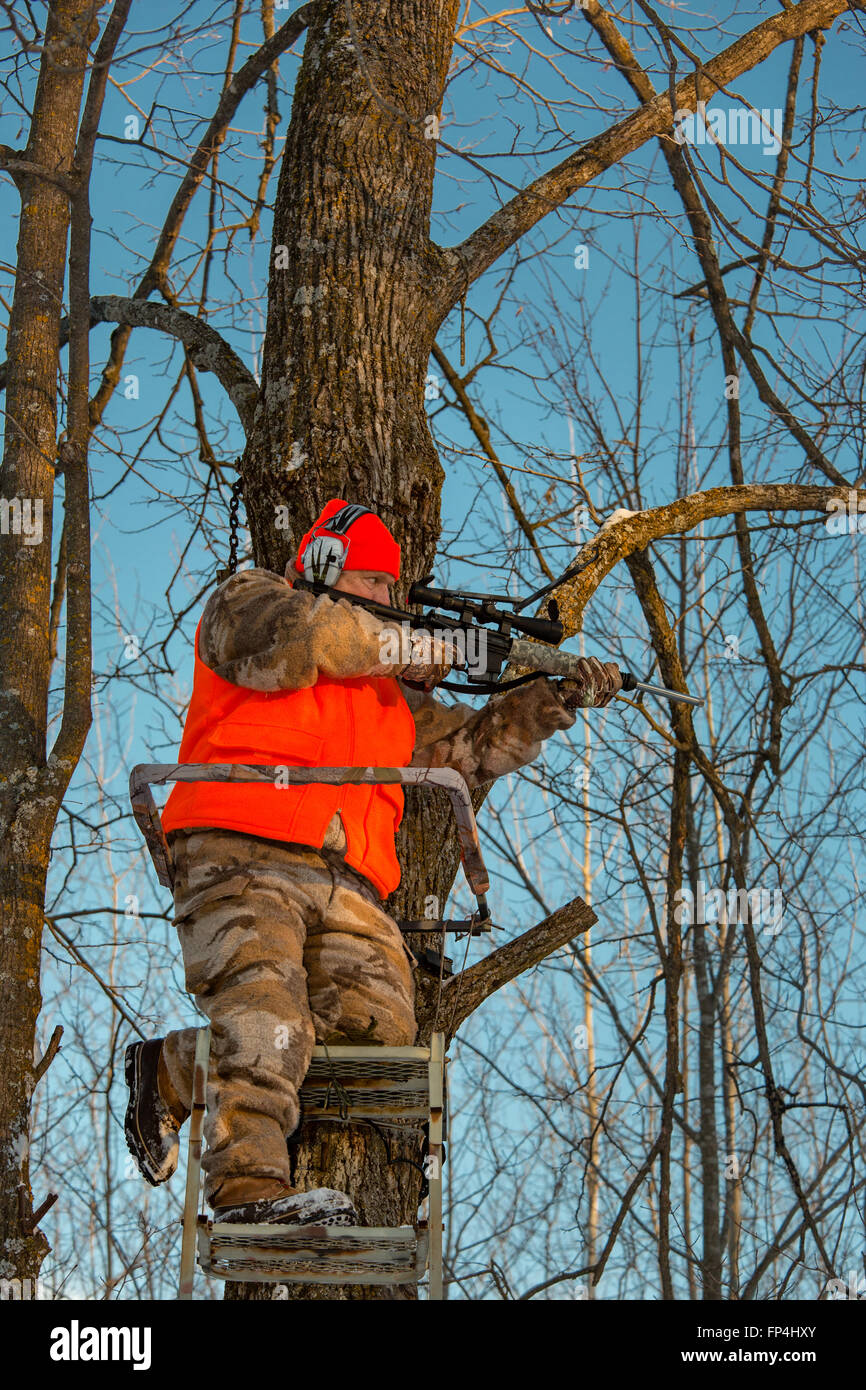 Wisconsin hunter taking aim with his AR15 Stock Photo Alamy