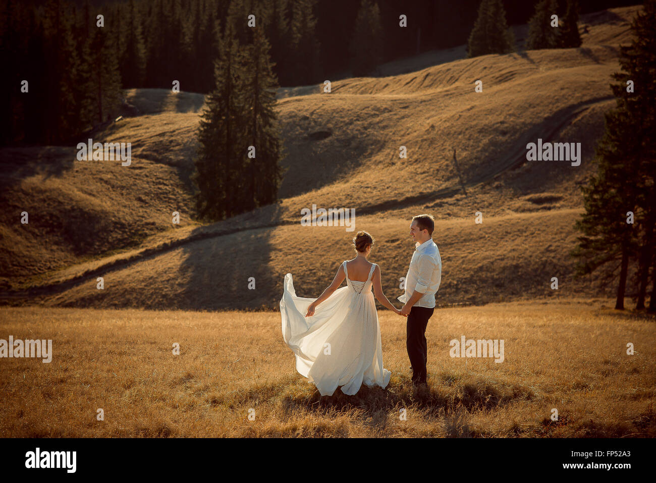 Romantic wedding couple holding hands on the mountain top Stock Photo ...