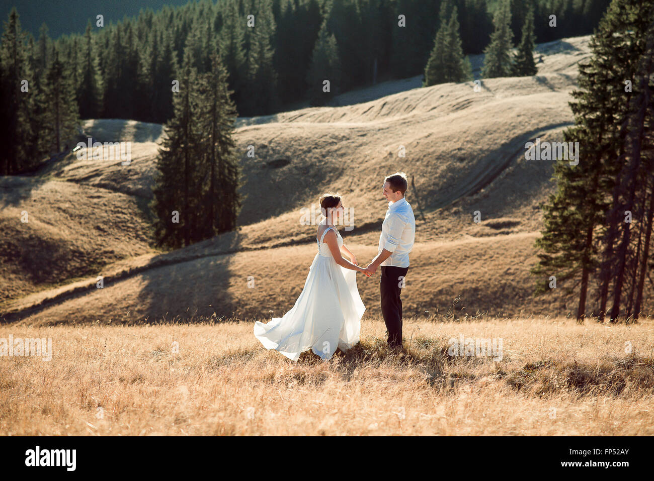 Romantic wedding couple holding hands on the mountain top Stock Photo ...