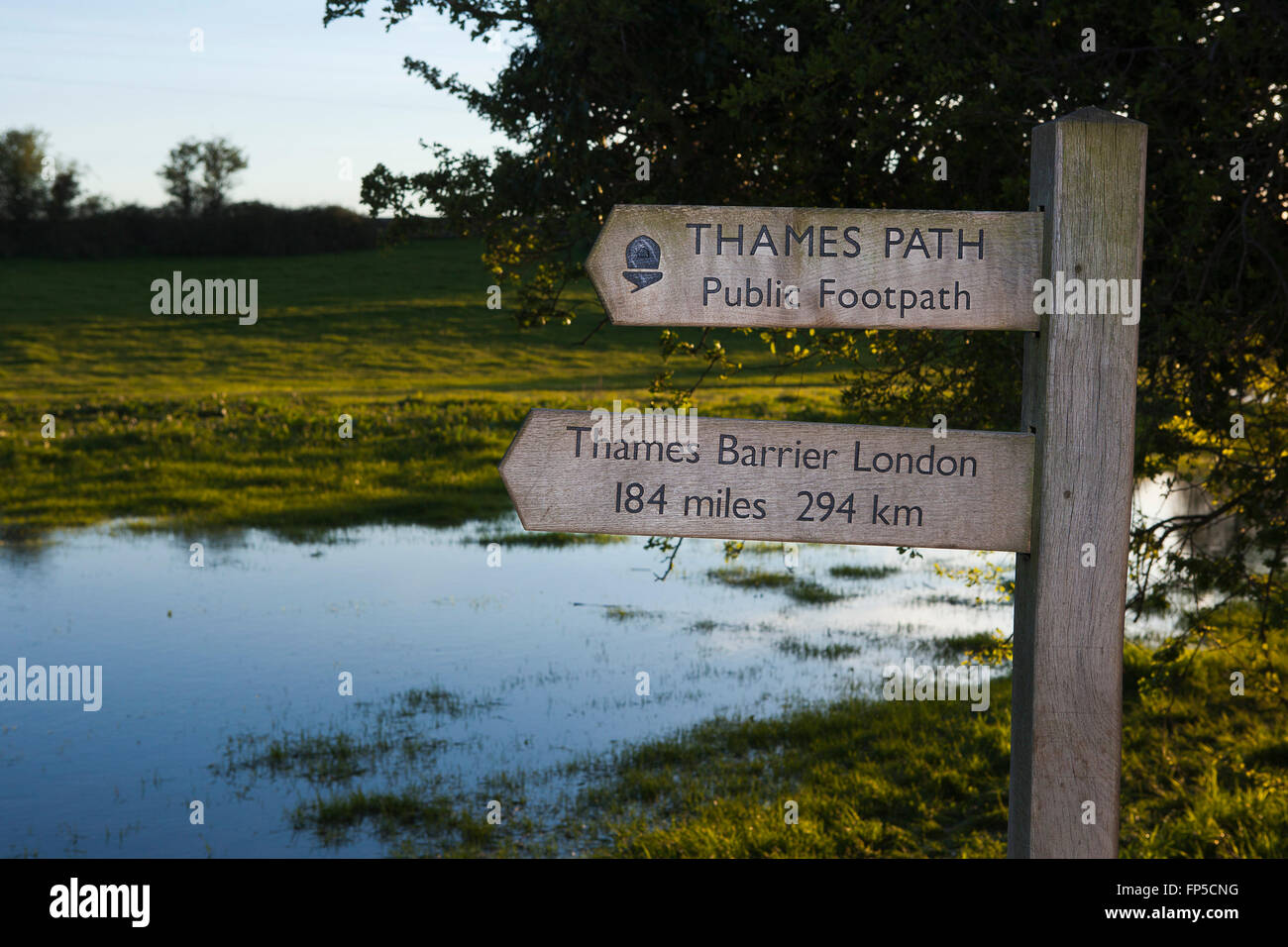 The source of the River Thames, in a field near the cotswold town of Cirencester