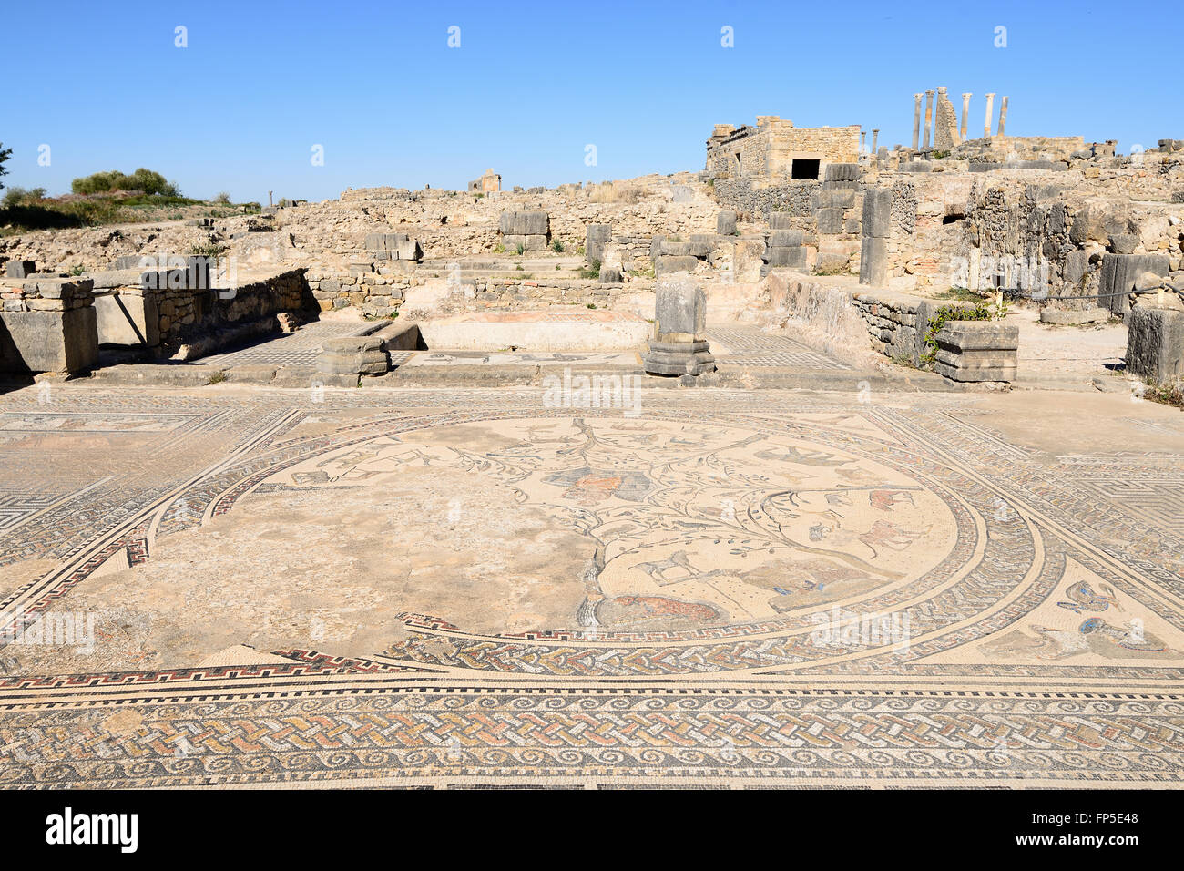 VOLUBILIS, MOROCCO - NOVEMBER 29:   Extensive complex of ruins of the Roman city Volubilis - of ancient capital city of Mauritan Stock Photo