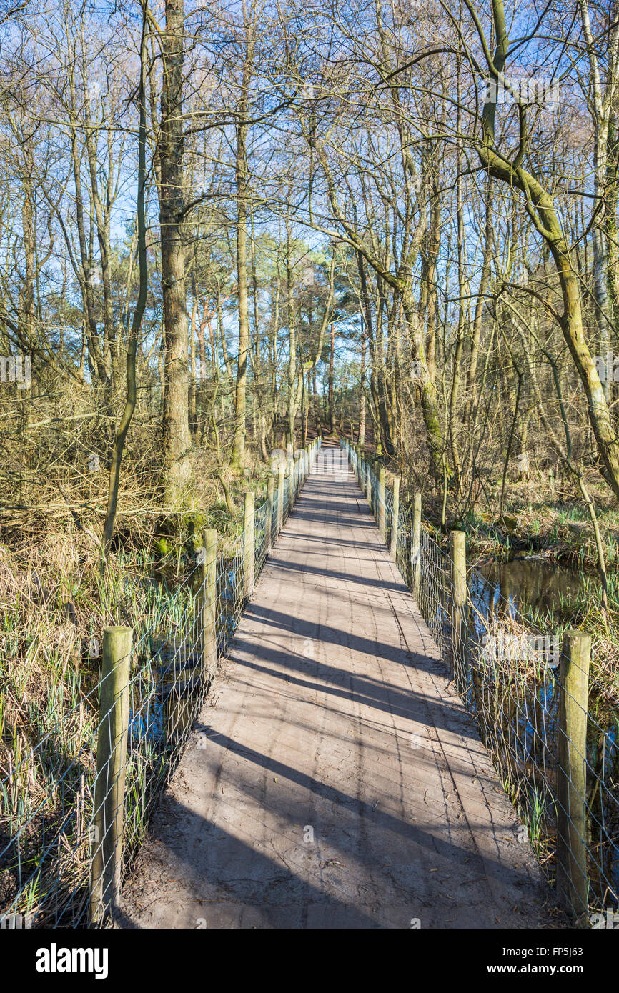 Wooden footbridge, Frensham Little Pond, Frensham near Farnham, Surrey, UK, in winter Stock Photo