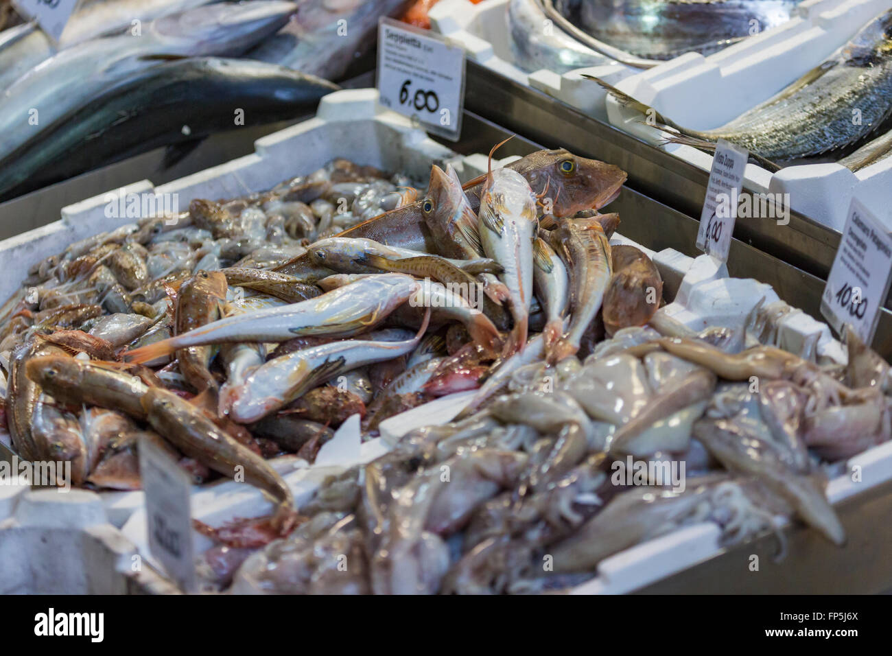 Bologna fresh fish market, Italy Stock Photo Alamy