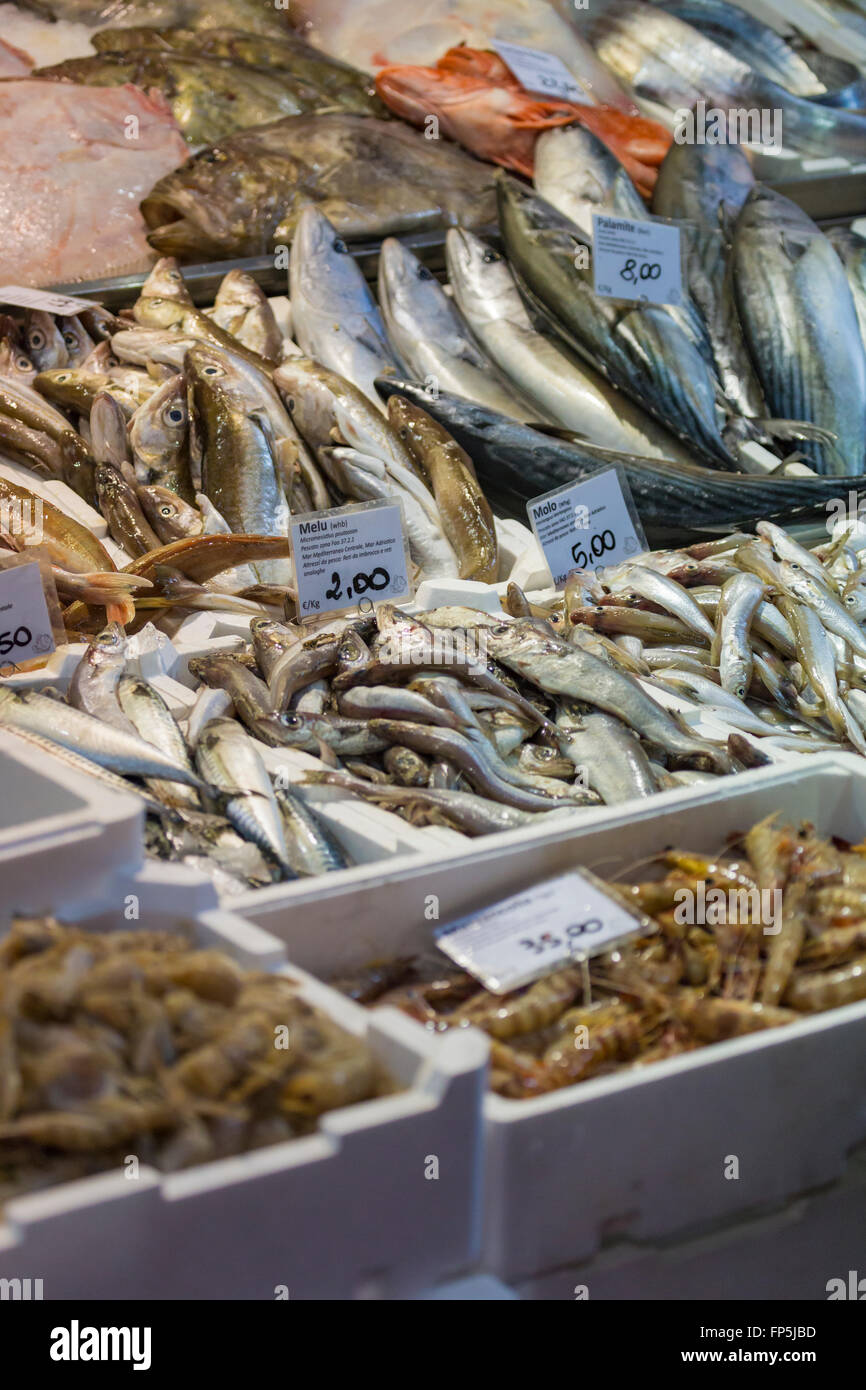 Bologna fresh fish market, Italy Stock Photo Alamy