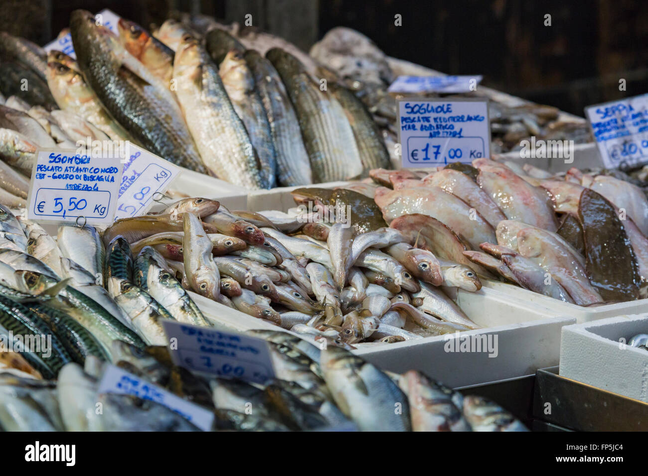 Bologna fresh fish market, Italy Stock Photo Alamy