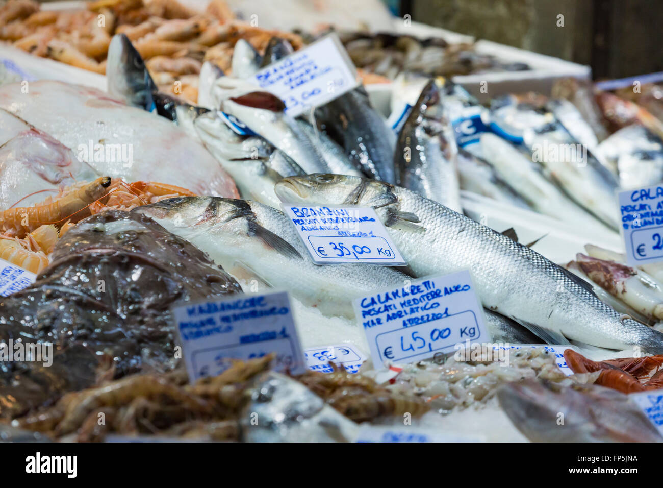 Bologna fresh fish market, Italy Stock Photo Alamy