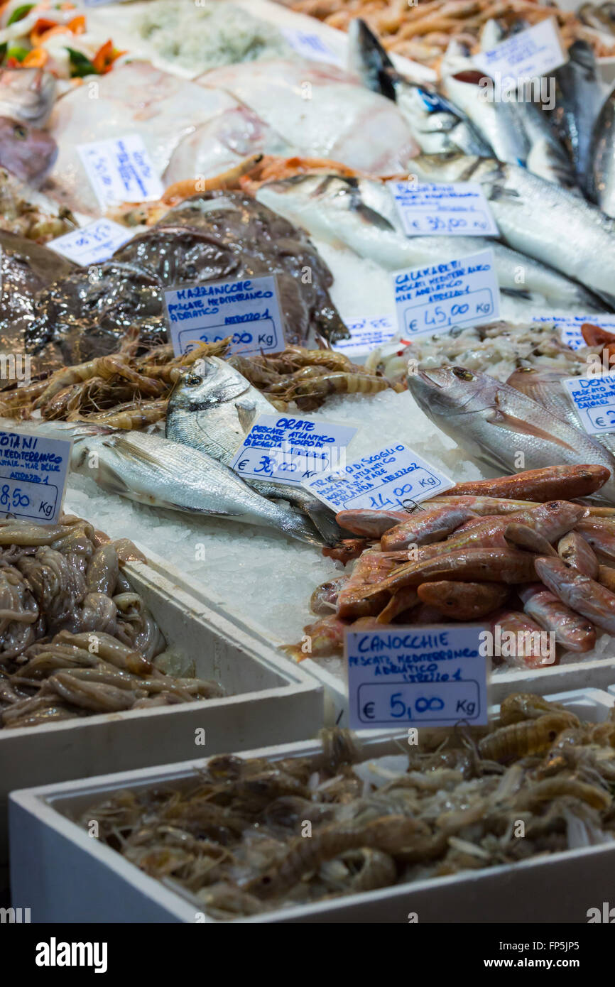Bologna fresh fish market, Italy Stock Photo Alamy