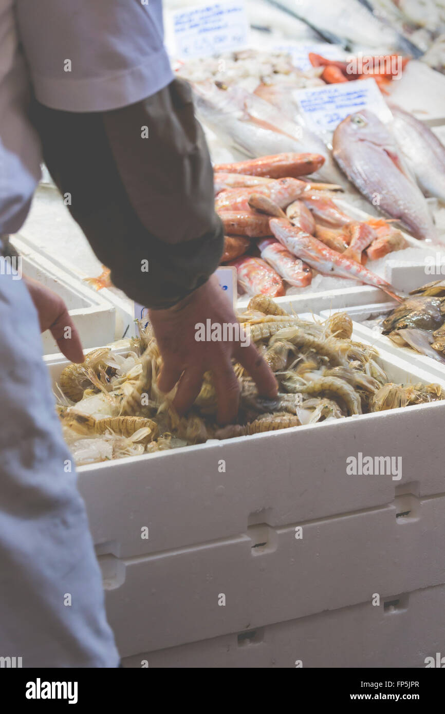 Bologna fresh fish market, Italy Stock Photo Alamy