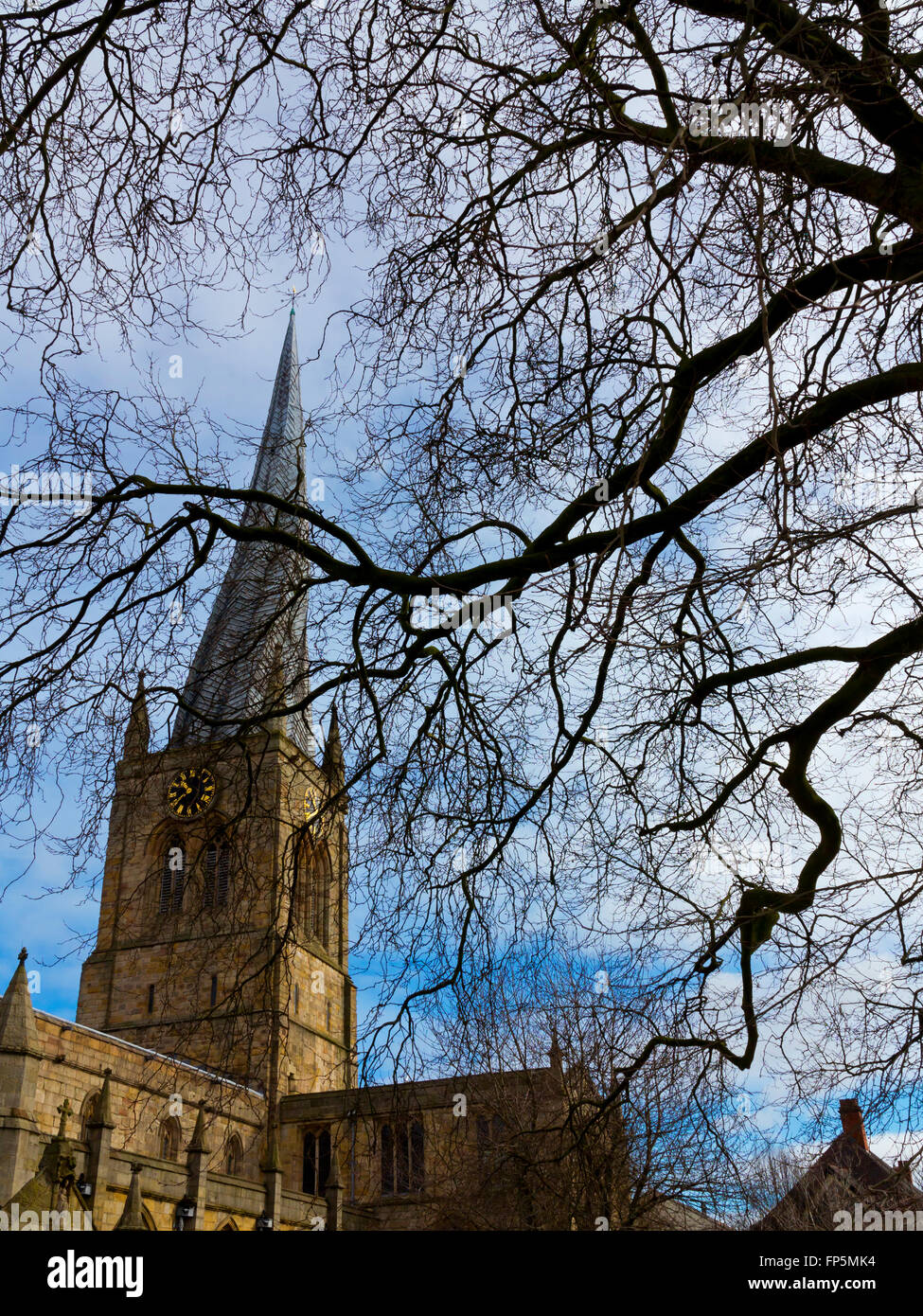 The crooked spire on the Church of St Mary and All Saints in Chesterfield North East Derbyshire England UK with tree in front Stock Photo