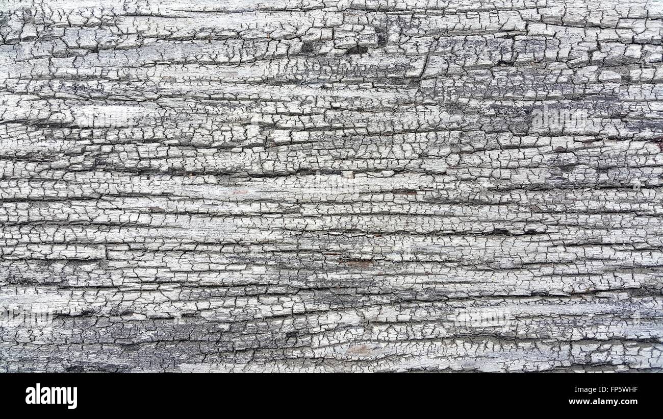 Close up of wood texture background Stock Photo - Alamy