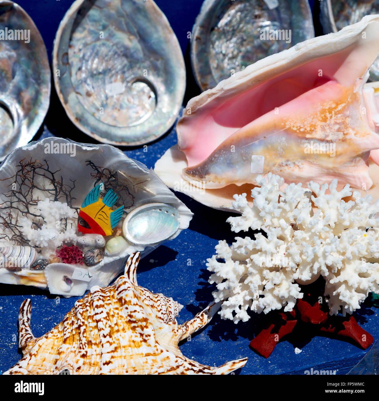 full in market old table shell and sealife in sale Stock Photo - Alamy