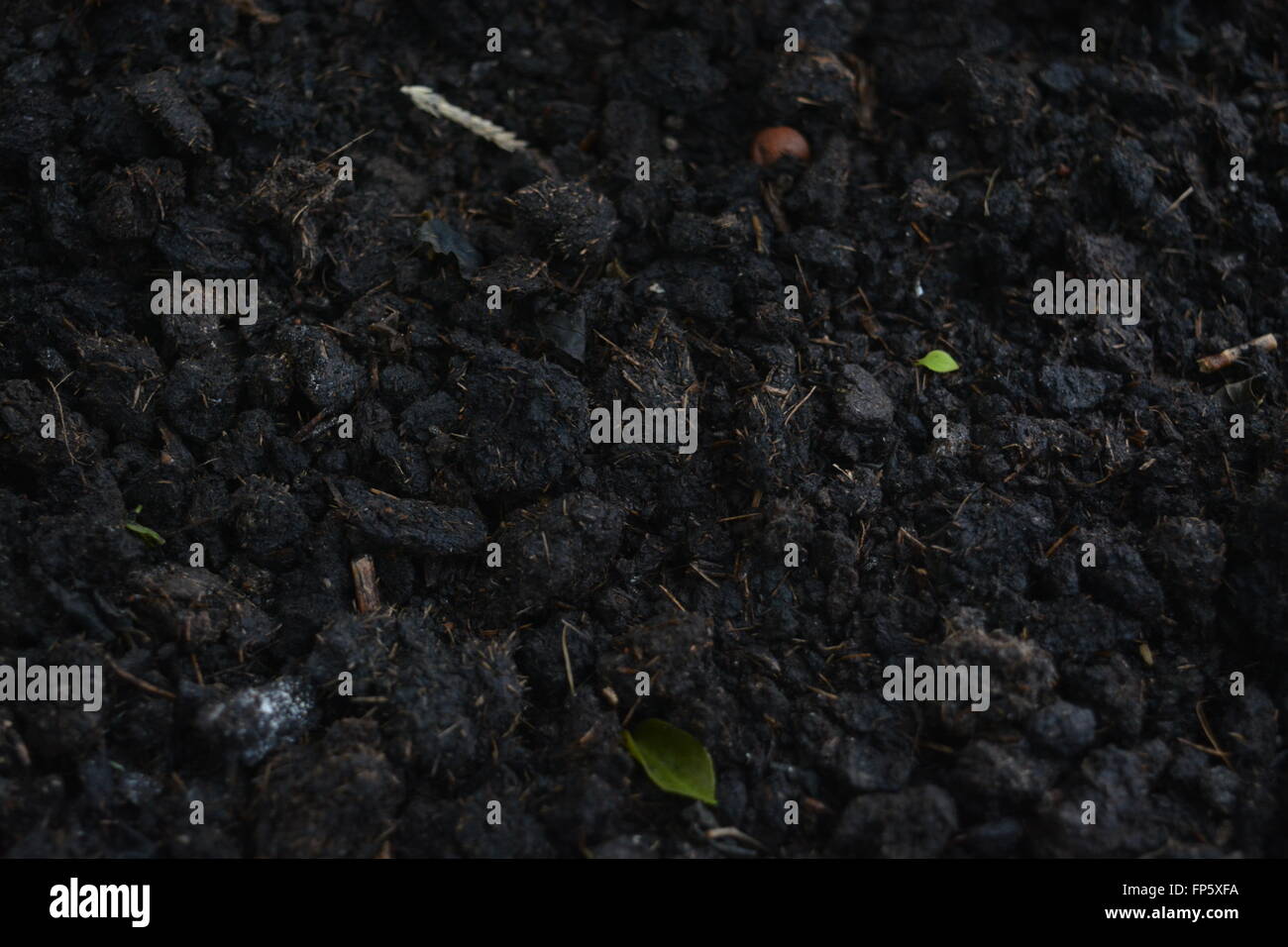 Close up of Wet Soil ready for Gardening Stock Photo - Alamy
