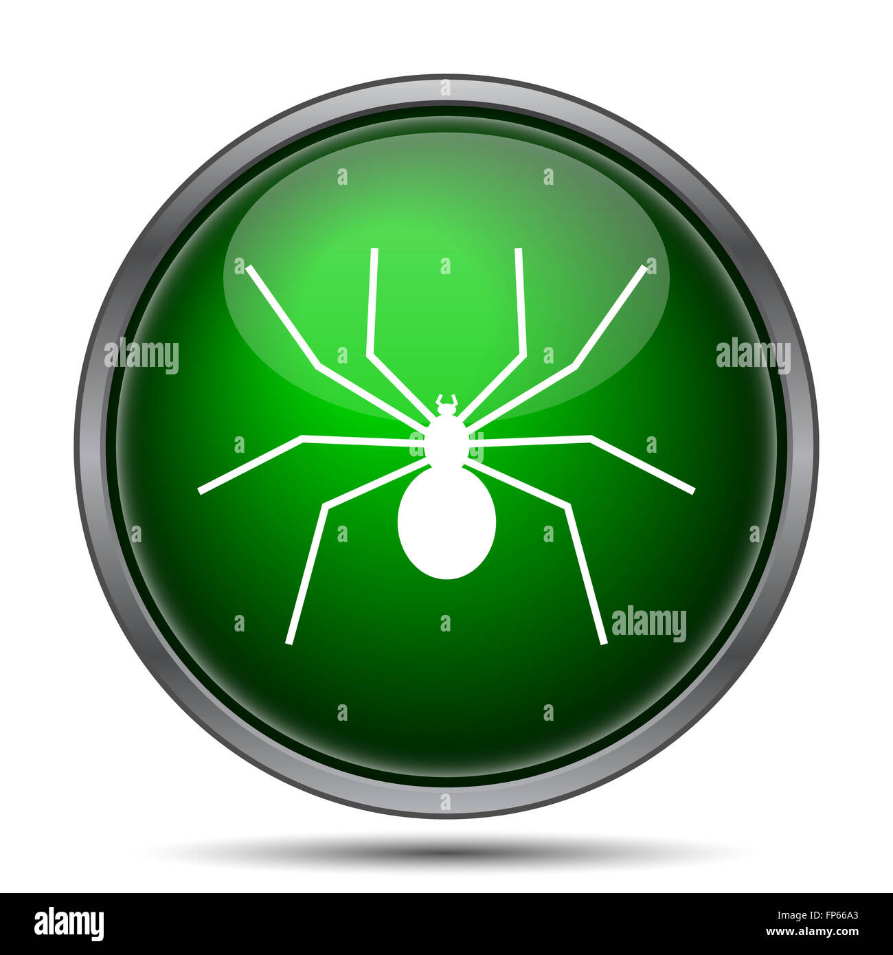 Spider icon. Internet button on white background Stock Photo - Alamy