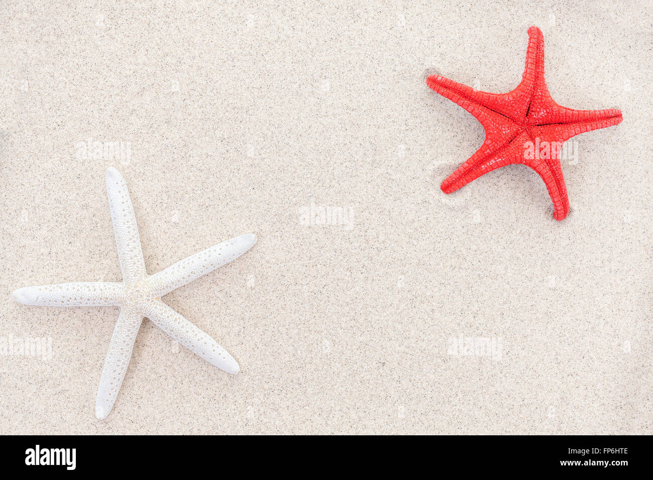 White and red starfishes on sand, space for text. Stock Photo