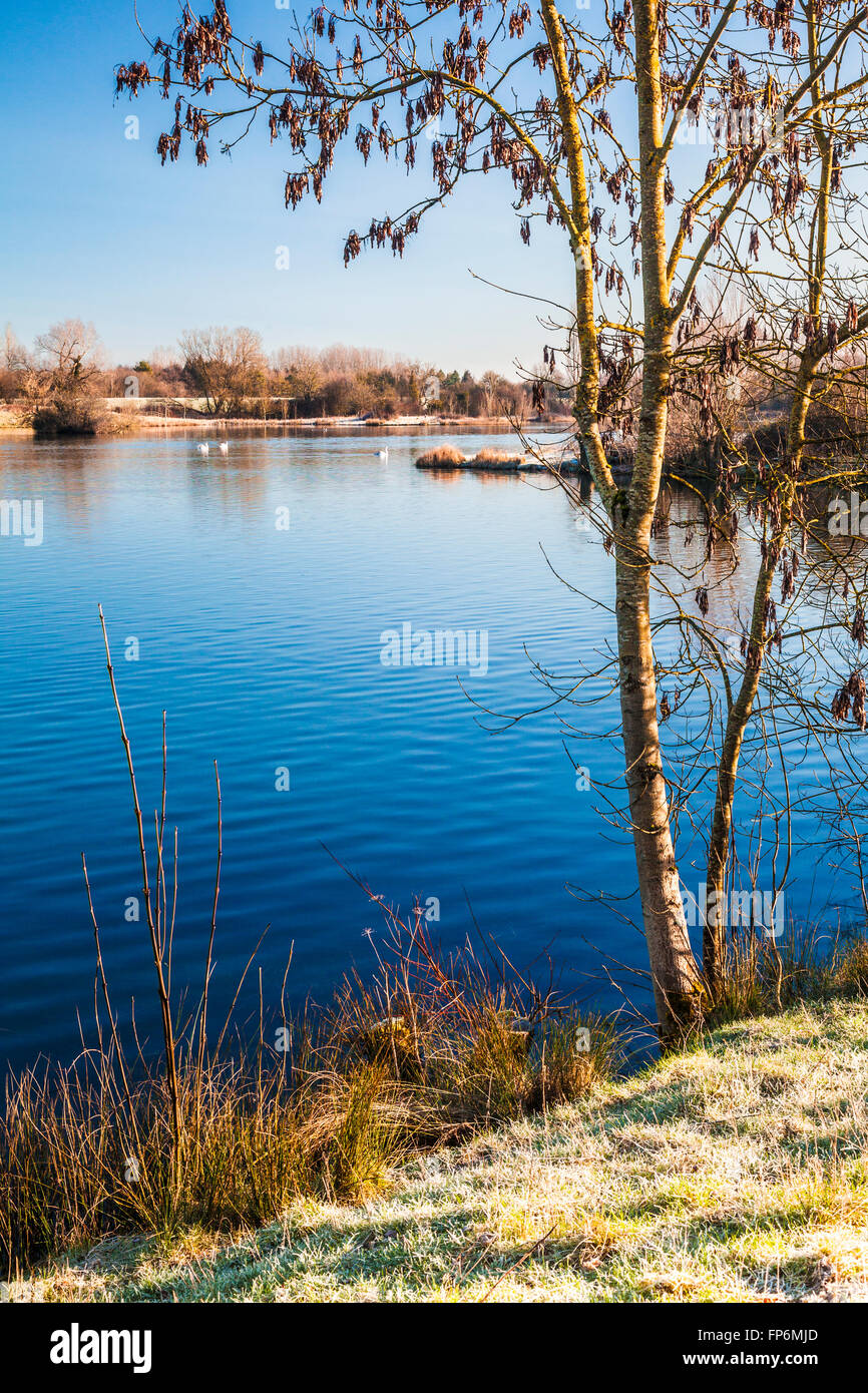 A frosty winter morning on one of the lakes at Cotswold Water Park Stock Photo