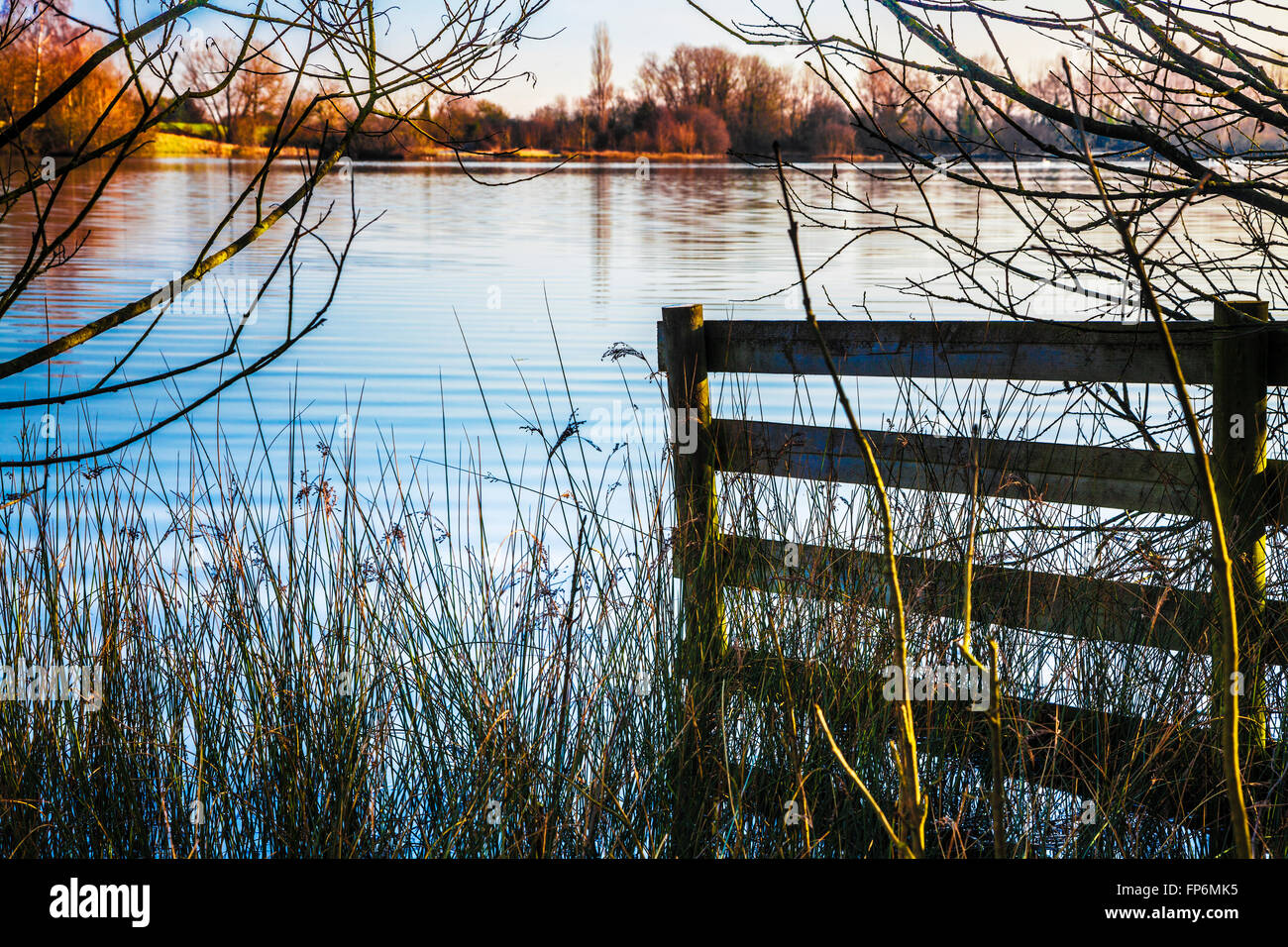 A winter morning on one of the lakes at Cotswold Water Park Stock Photo