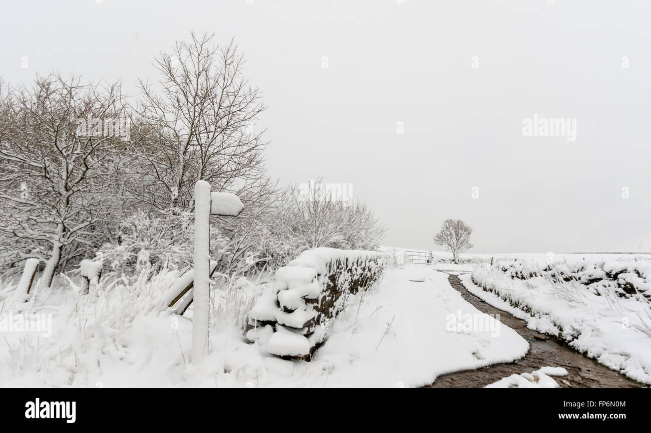 Snow filled Countryside lane in Yorkshire UK Stock Photo Alamy