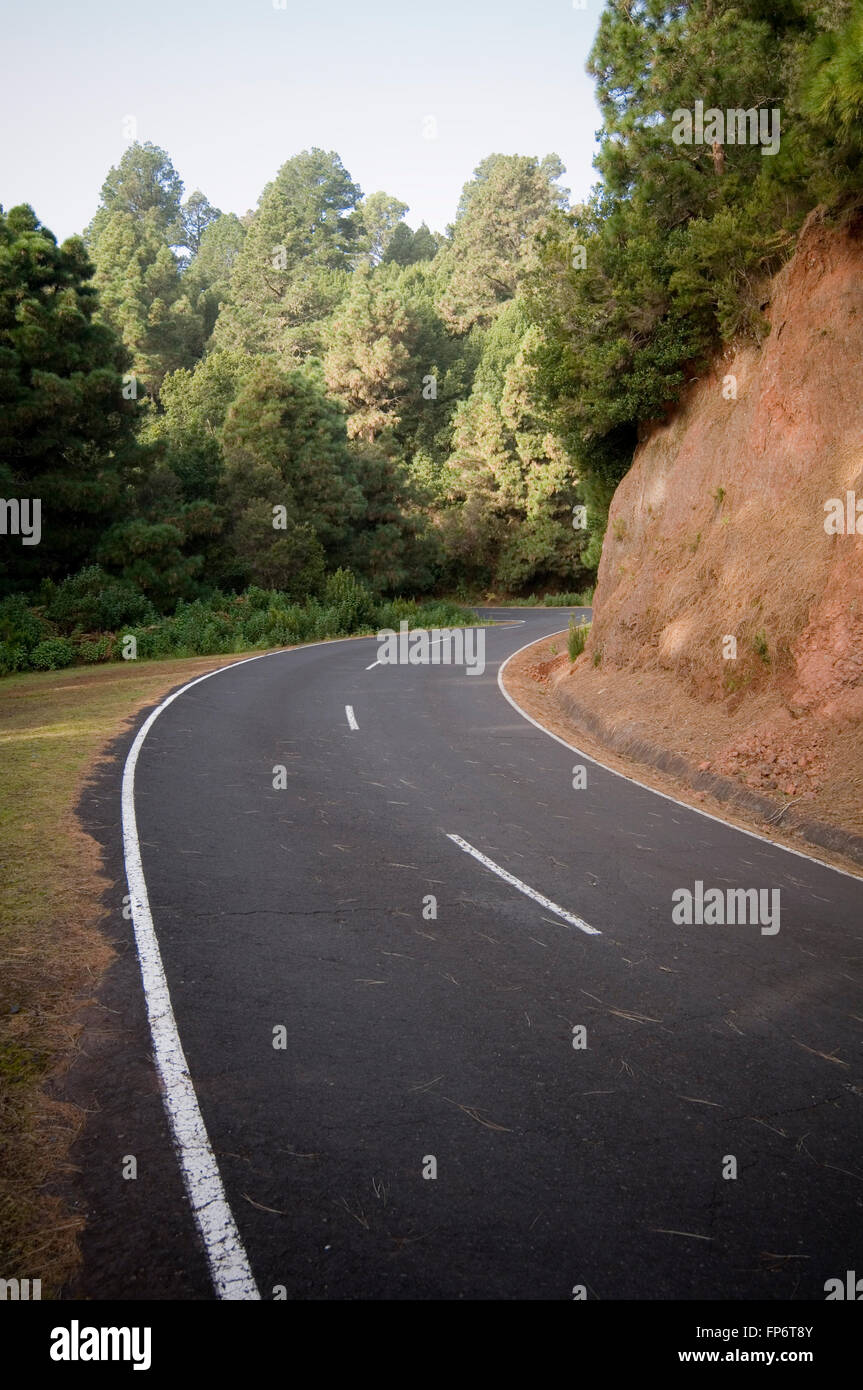 curve curved road roads corn corners sweeping bend bends forest fast forests drive driving good smooth Stock Photo