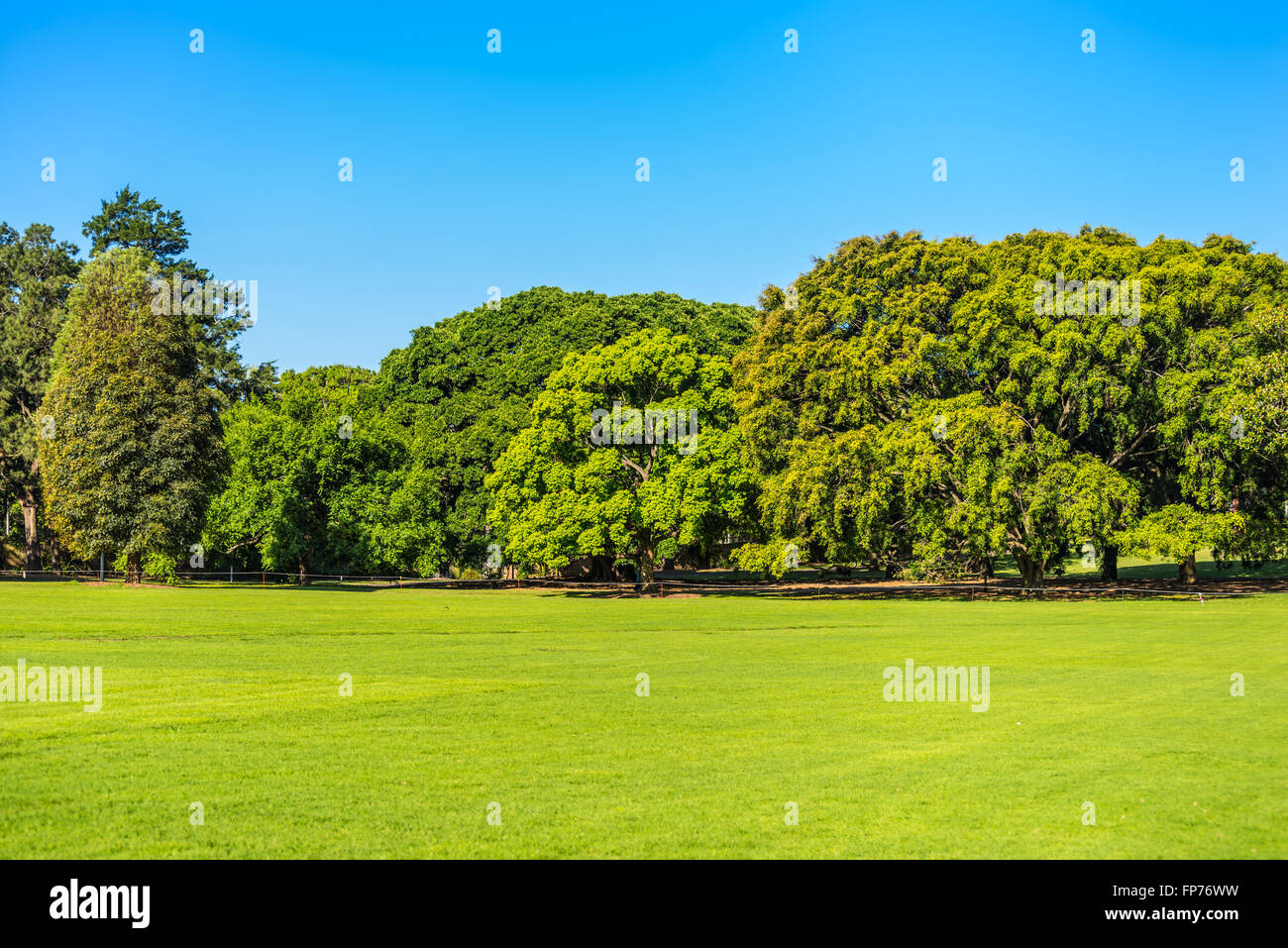 Cultivated area of green grass, Clear Blue Sky - Sydney, Australia On A Sunny Day Stock Photo