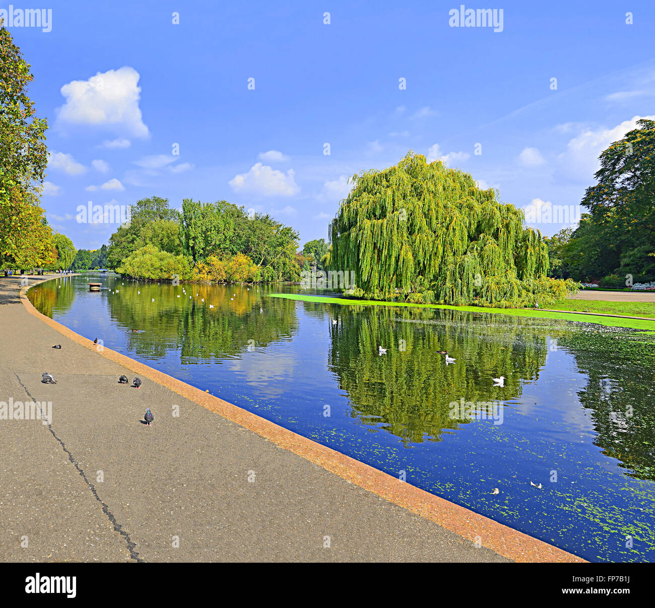 Pond in Regents Park London on a bright September day. Stock Photo