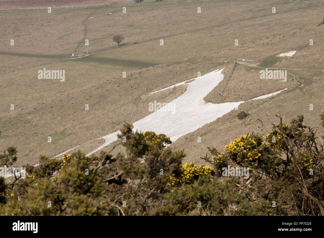 White horse figure carved in chalk Alton Barnes,Wiltshire,England Stock