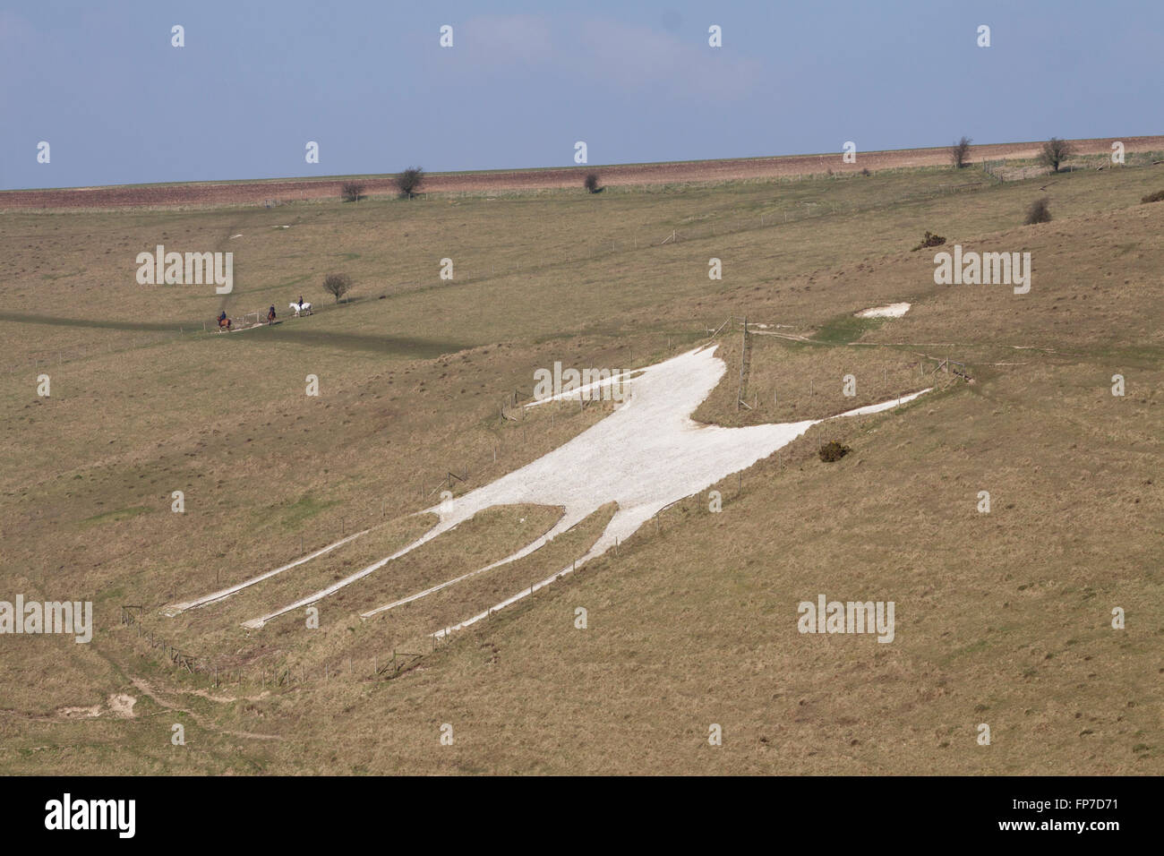 White horse figure carved in chalk Alton Barnes,Wiltshire,England Stock