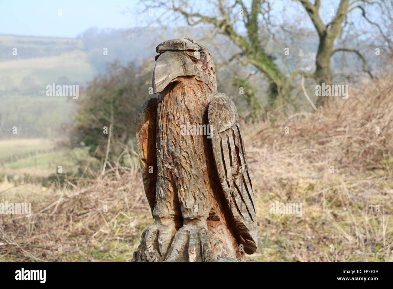 'Swooper' the eagle carving on the Trans Pennine Trail near Millhouse Green, Penistone, South Yorkshire. Stock Photo