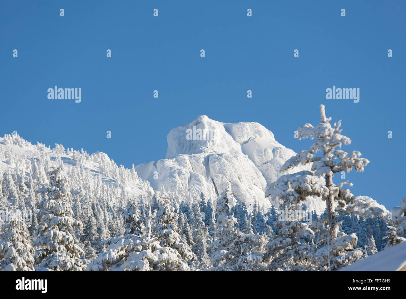 Mountains on Vancouver Island Stock Photo Alamy
