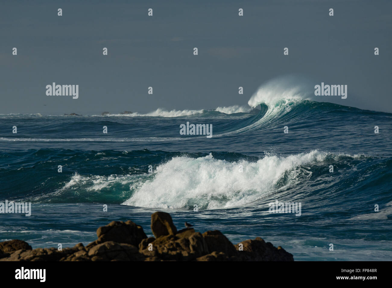 Large barreling wave in the Big Sur Coast of California, morning light. Stock Photo