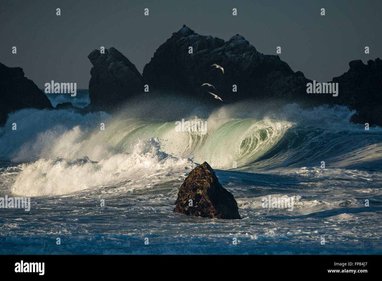 Large barreling wave in the Big Sur Coast of California, morning light. Stock Photo