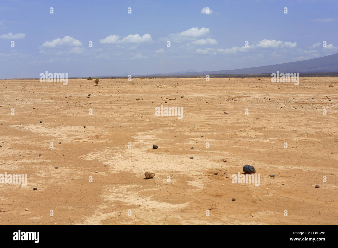 Dry barren land of the Danakil desert-all tracks erased on the way from Afrera town to Dodon-base camp to the Erta Ale volcano. Stock Photo