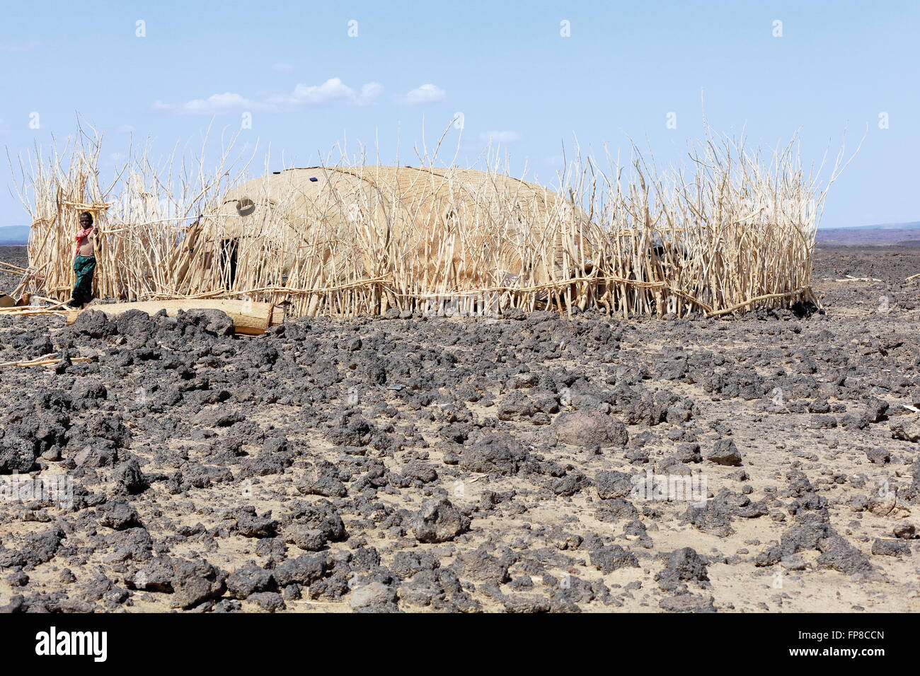 Volcanic dry barren land of the Danakil desert-tracks almost erased-way ...