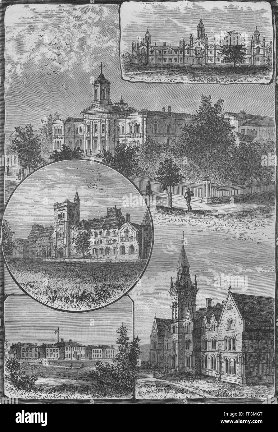 toronto-colleges-trinity-university-upper-canada-knox-normal-school-1882-stock-photo-alamy