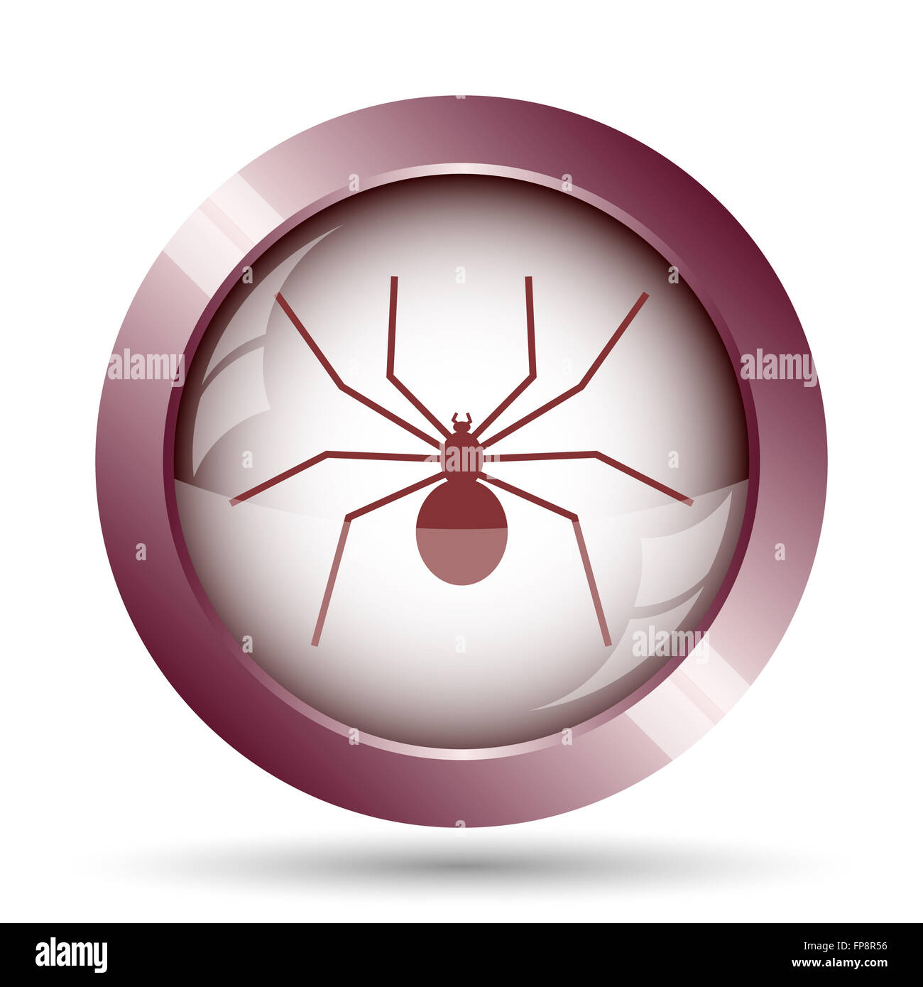 Spider icon. Internet button on white background Stock Photo - Alamy