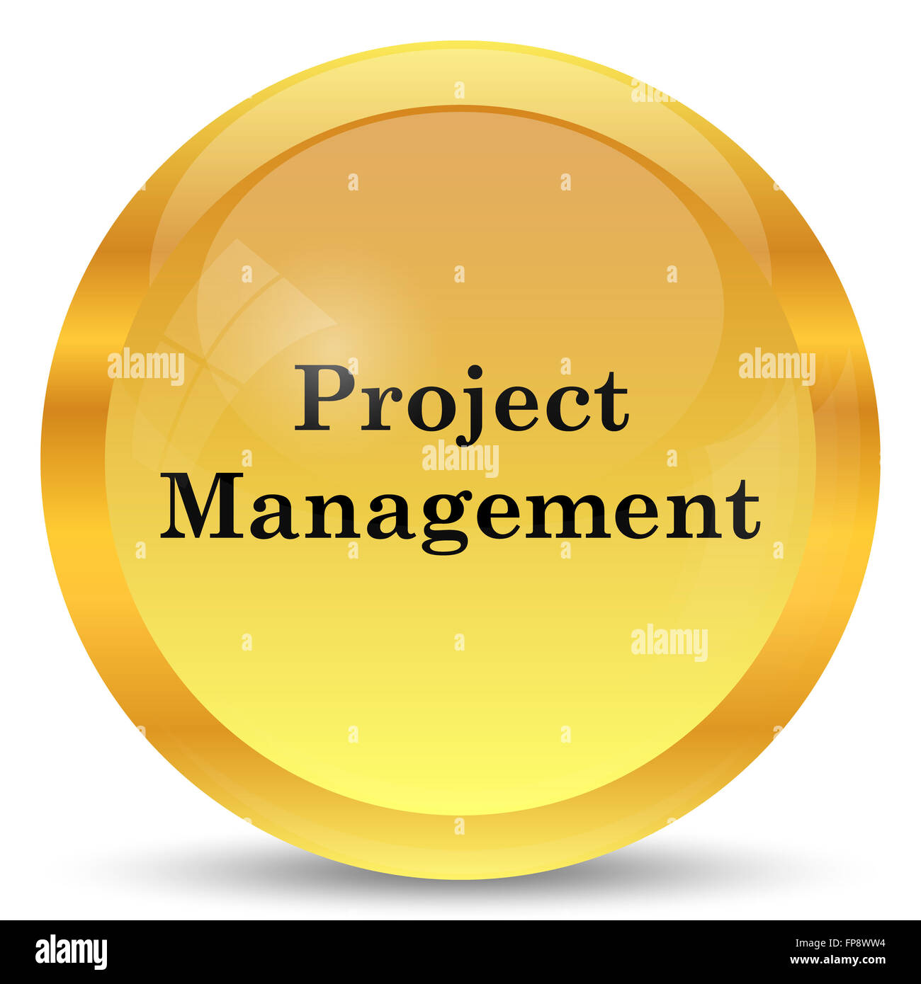 Project management icon. Internet button on white background Stock ...