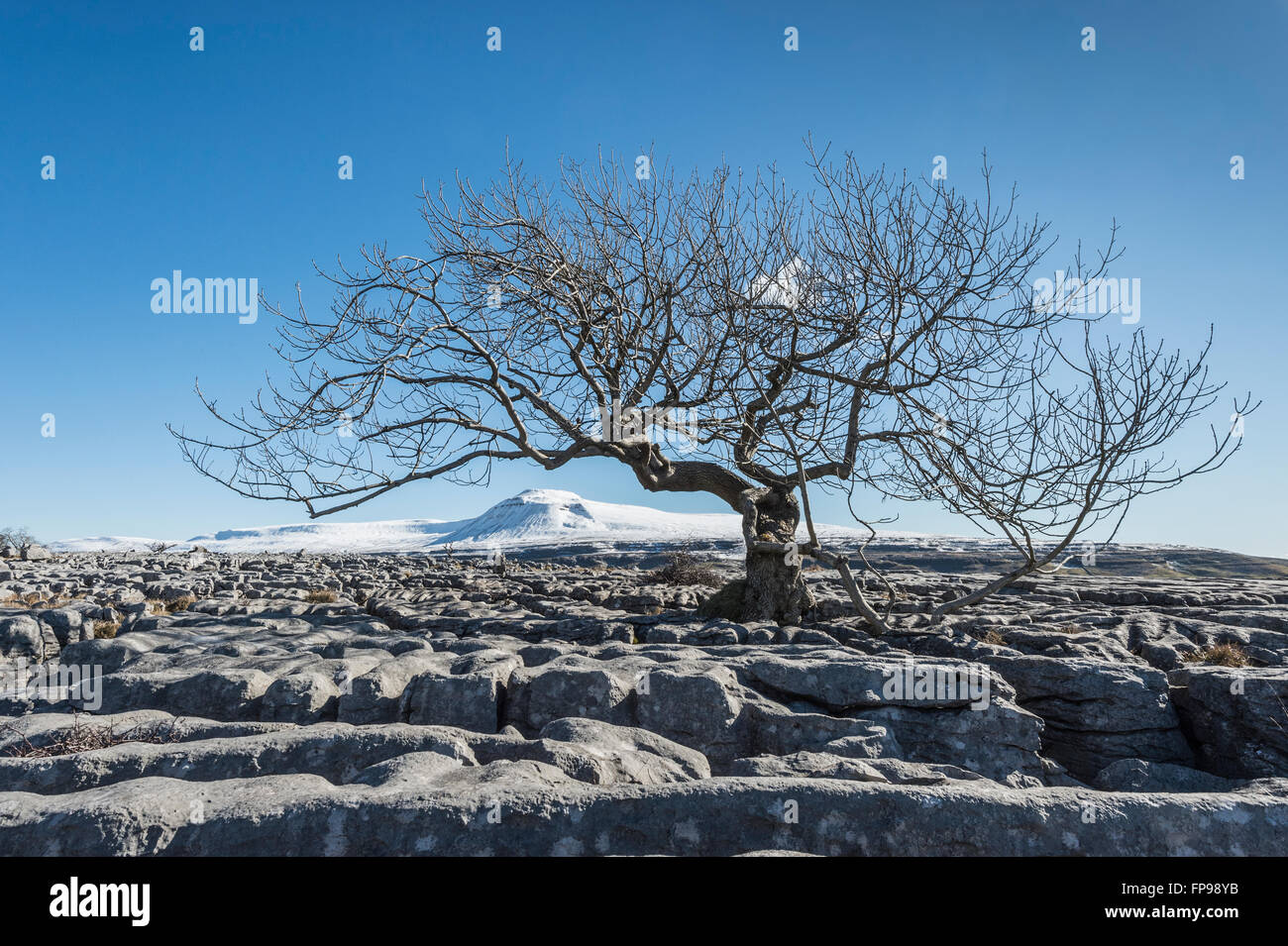 Limestone pavements on Twistleton Scar in the Yorkshire Dales near the village of Ingleton with Ingleborough in the distance Stock Photo