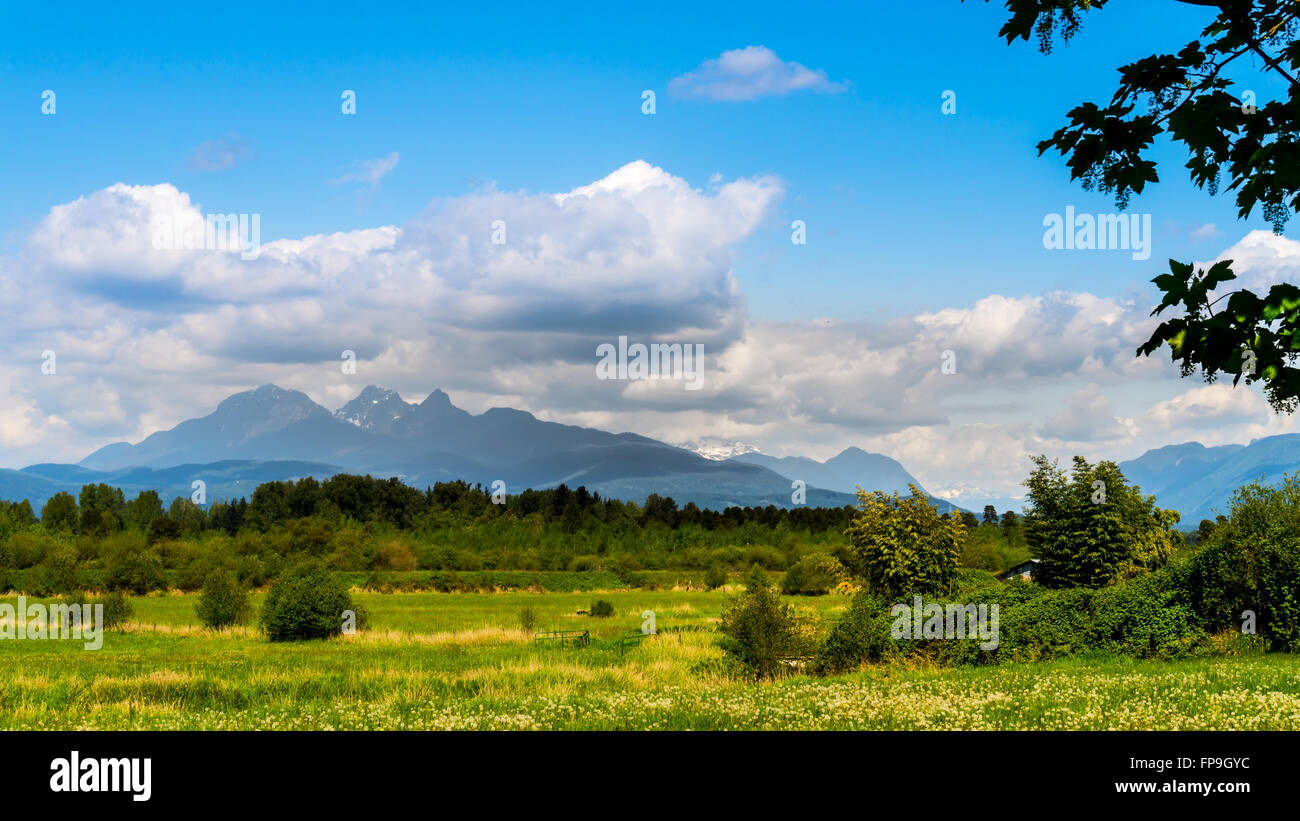 Golden Ears mountain under blue sky with a few clouds viewed from Derby Reach in the Fraser Valley of British Columbia, Canada Stock Photo