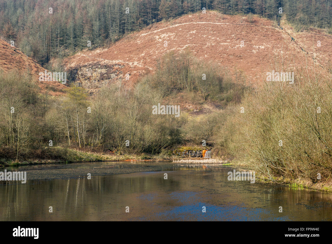 Clydach Vale Country Park and Pond in the Rhondda Valley south Wales