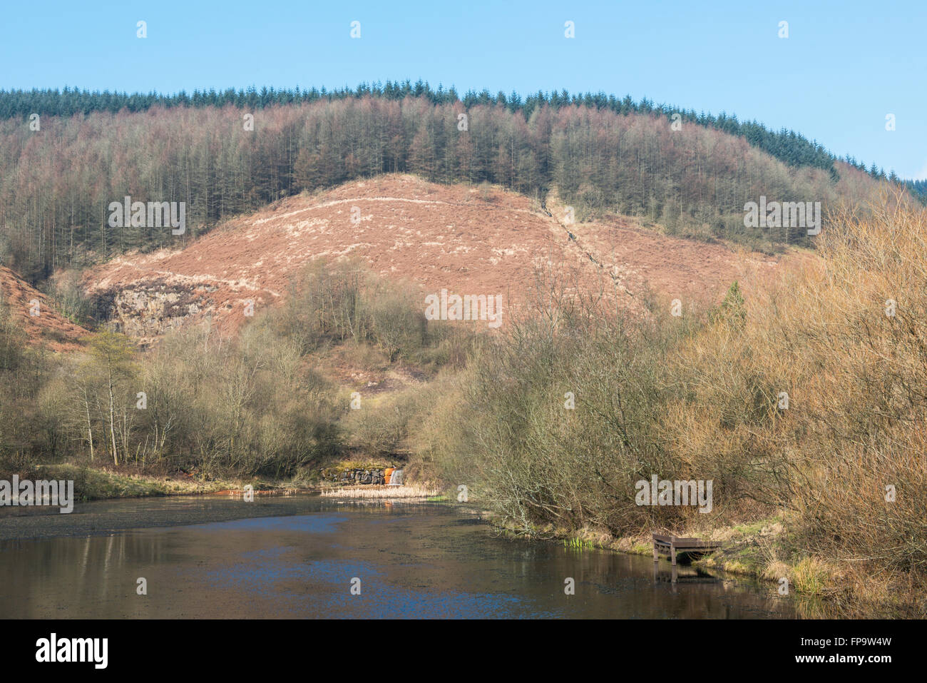 Clydach Vale Country Park and Pond in the Rhondda Valley south Wales