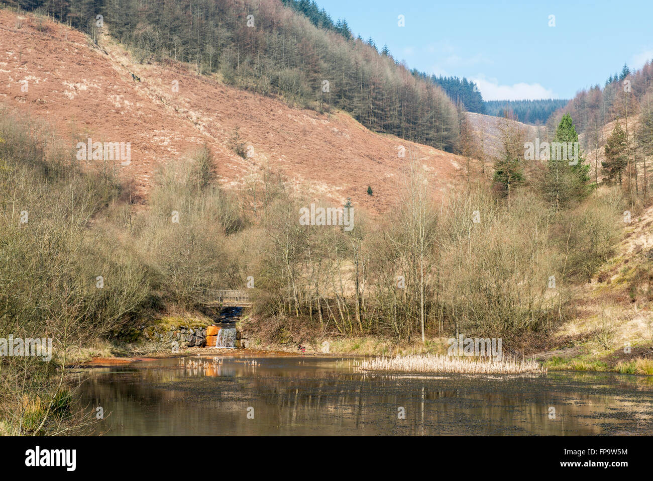 Clydach Vale Country Park and Upper Pond in the Rhondda Valley south Wales, built on the site of the old Cambrian Colliery Stock Photo