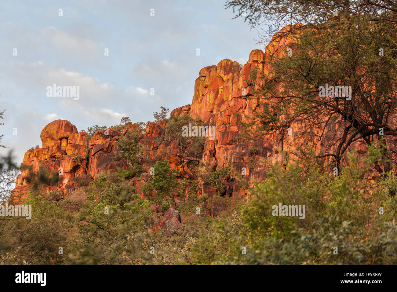 The sandstone escarpment of the Waterberg Plateau on the eastern side of the Central Highlands of Namibia, southern Africa. Stock Photo