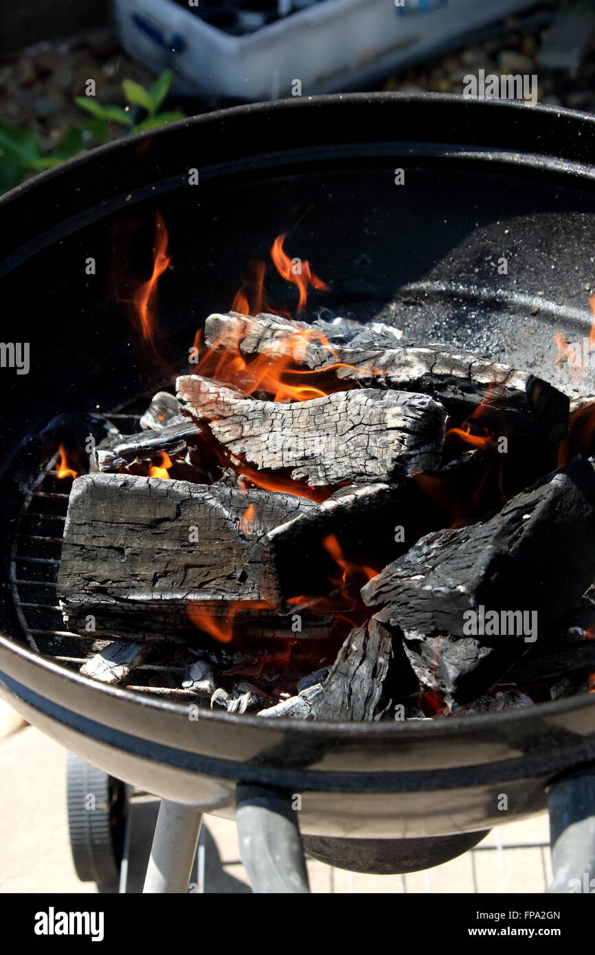 Burning kindling in portable barbecue Stock Photo Alamy