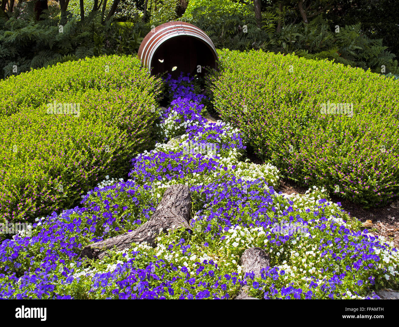 Flowers spilling out of a barrel in roma street parklands, brisbane
