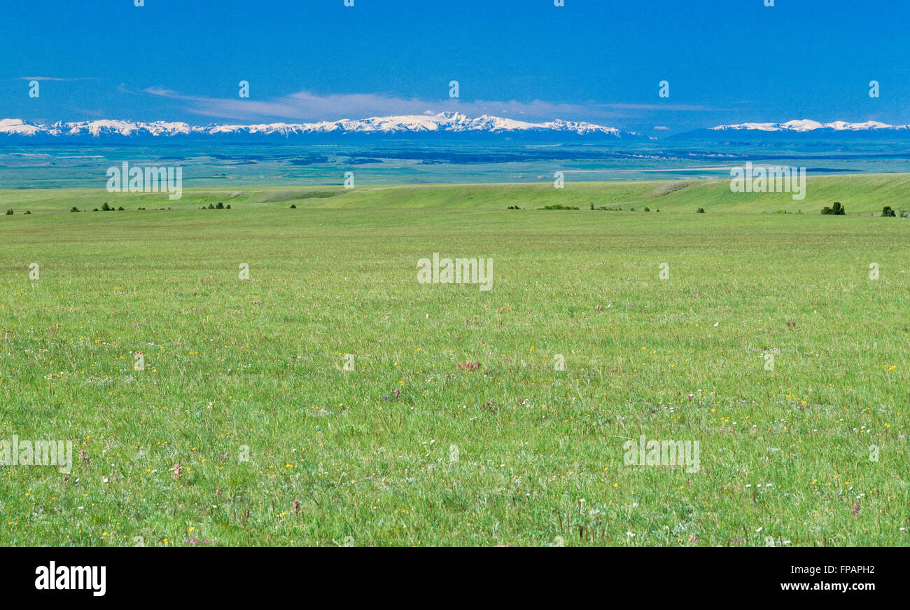 vast prairie near judith gap, montana, with the beartooth, absaroka, and crazy mountains in the distance Stock Photo