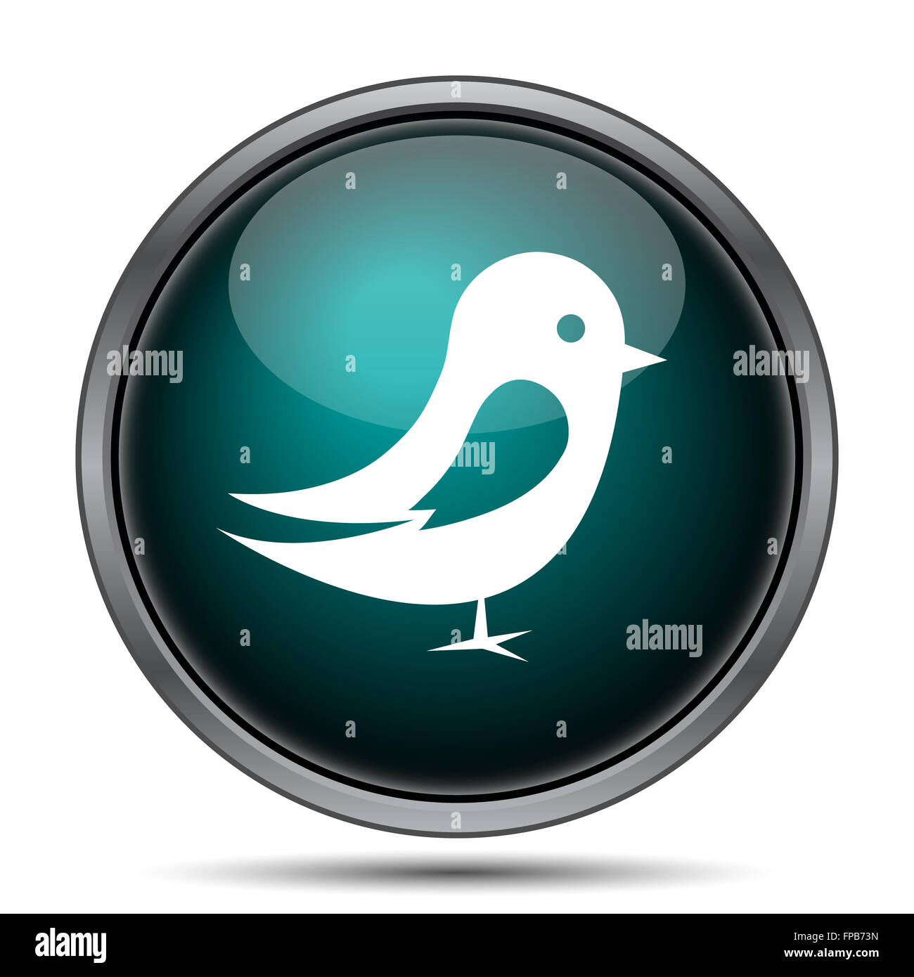 Bird icon. Internet button on white background Stock Photo - Alamy